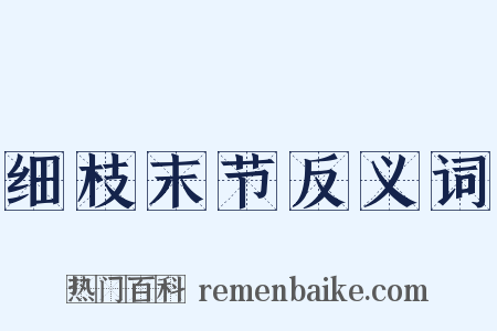 细枝末节反义词是什么意思的图片